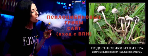 круглые Инсар