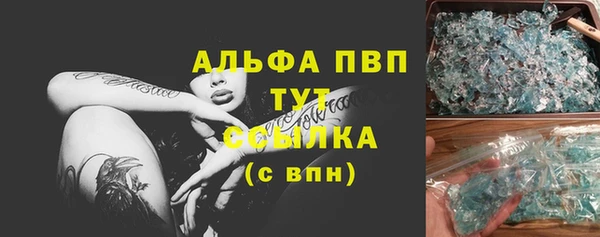 спиды Инта