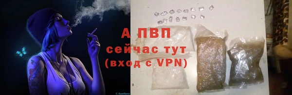 спиды Инта