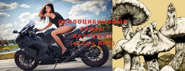 соль ск Иннополис