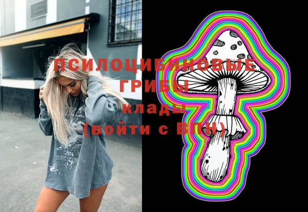 спиды Инта